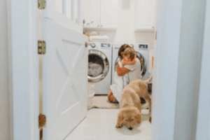 Harris DM Dutch Interior